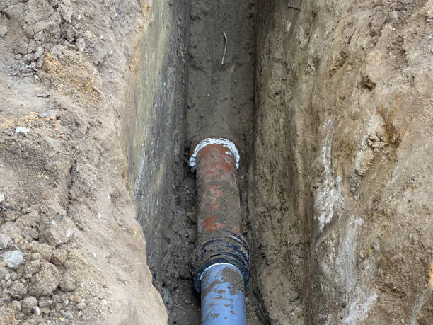  Berwyn Heights, MD Water damage restoration Pros