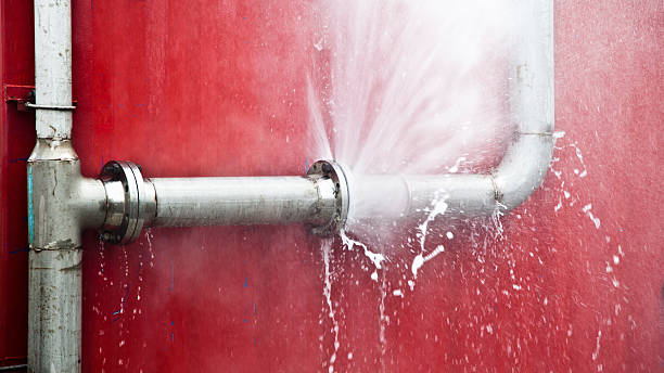 Best Water damage restoration near me  in Berwyn Heights, MD